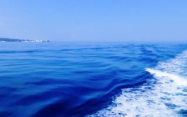 海洋散骨