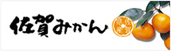 佐賀みかん