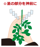 玉串奉奠